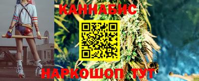сатива Ирбит