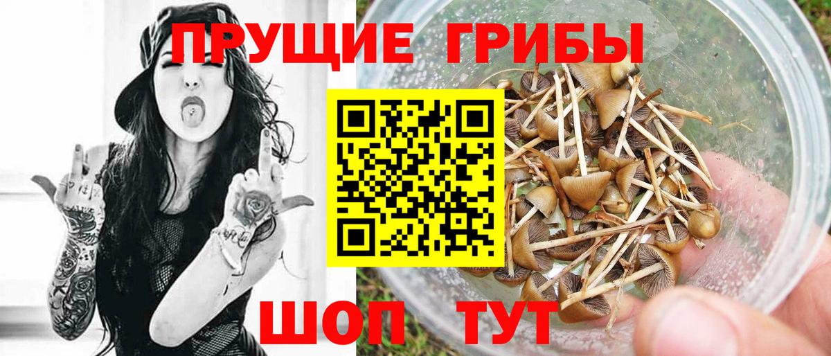 Псилоцибиновые грибы Cubensis  Псилоцибиновые грибы ЛСД  Мирный  Вход с VPN 
